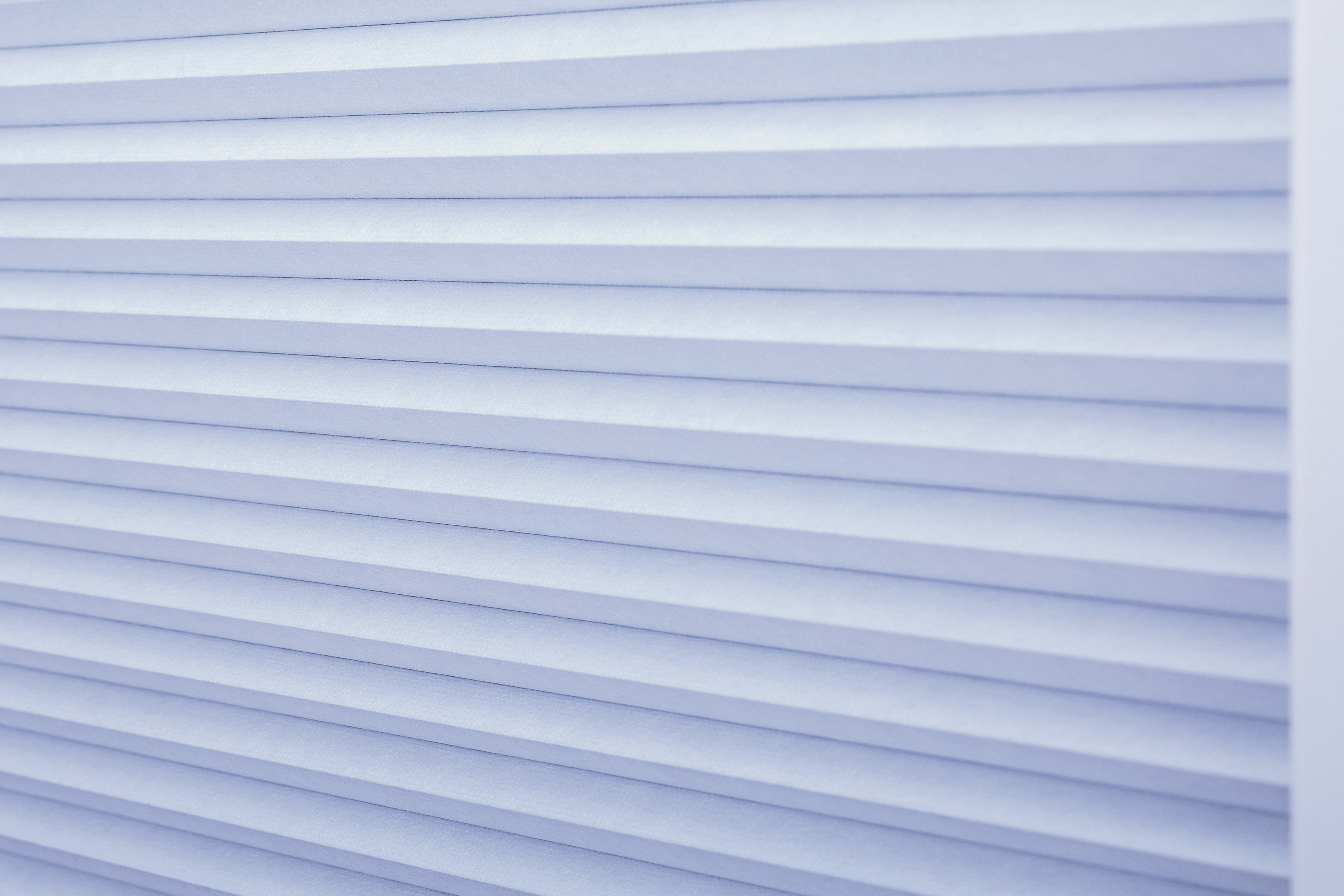 Hor en verduistering plissé